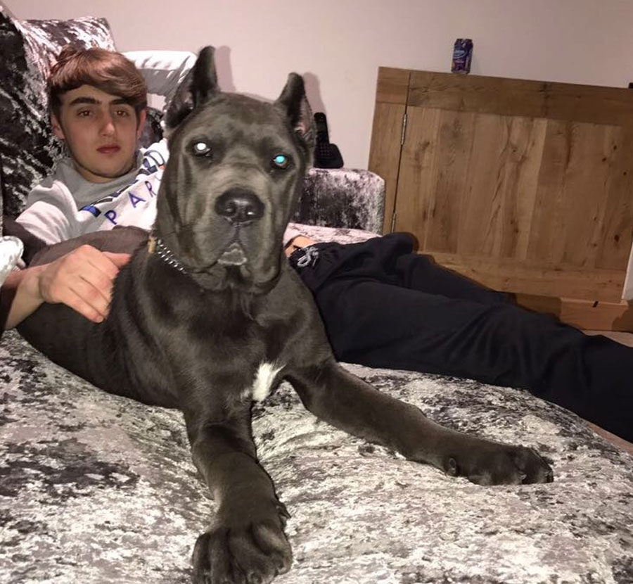 Adam & Rico Junior