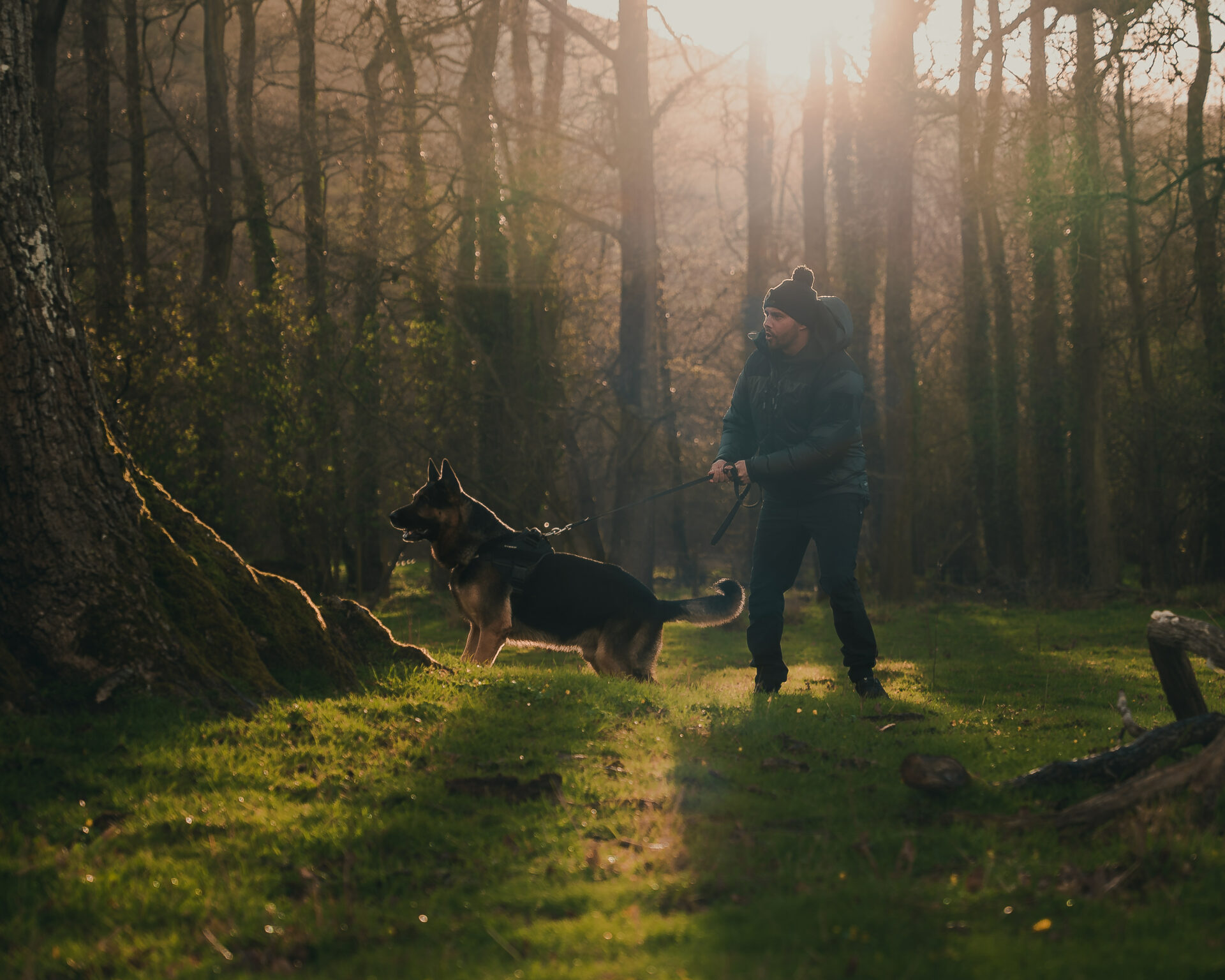 Leedor - Protection Dogs Trainer