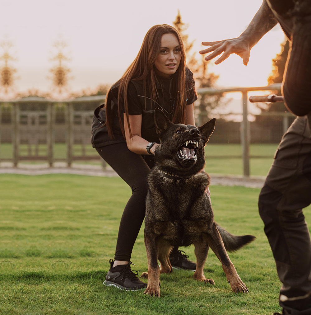 Protection Training