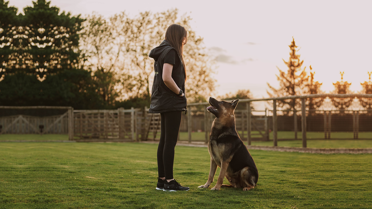 Obedience Training
