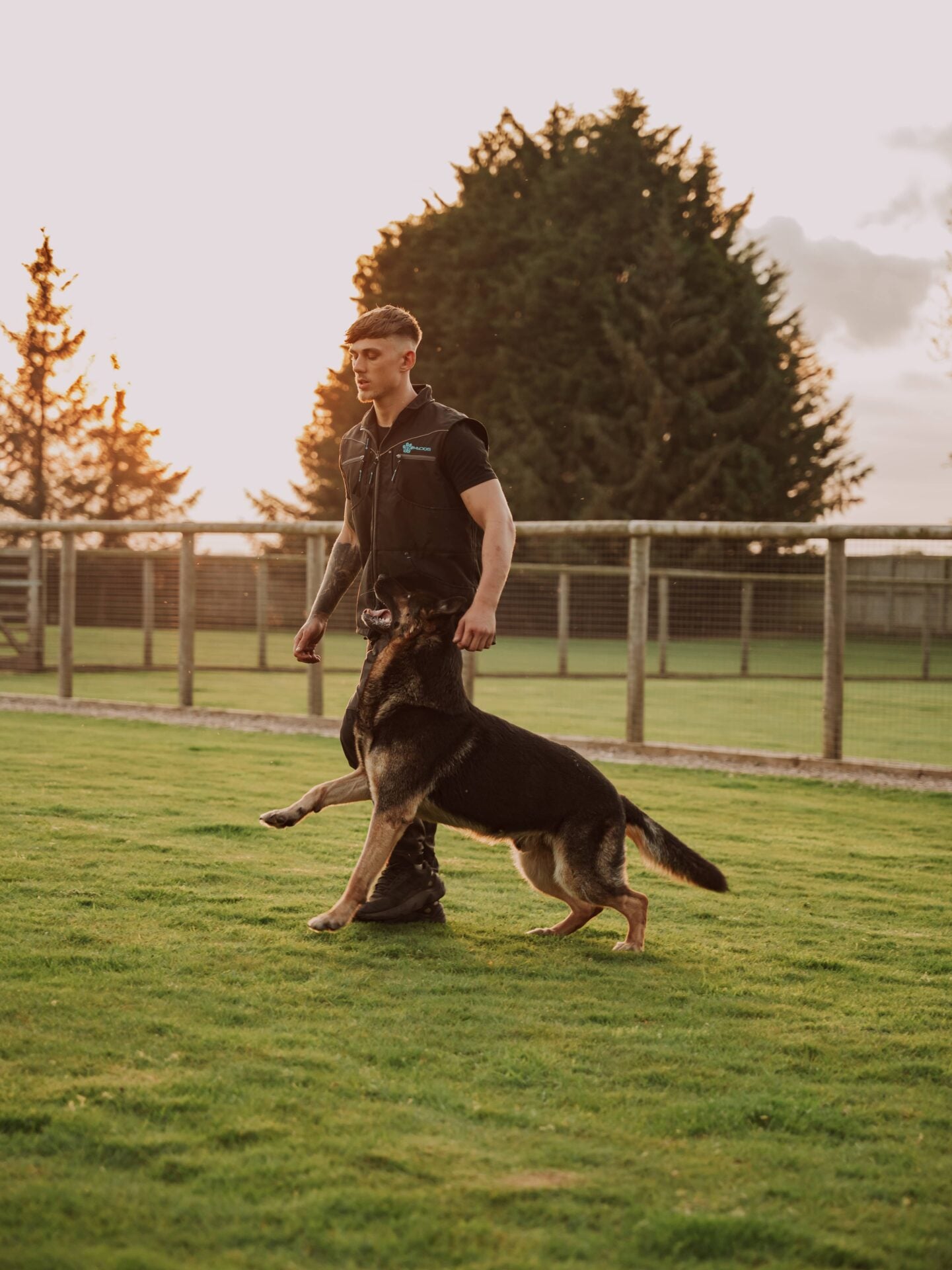 Obedience Training