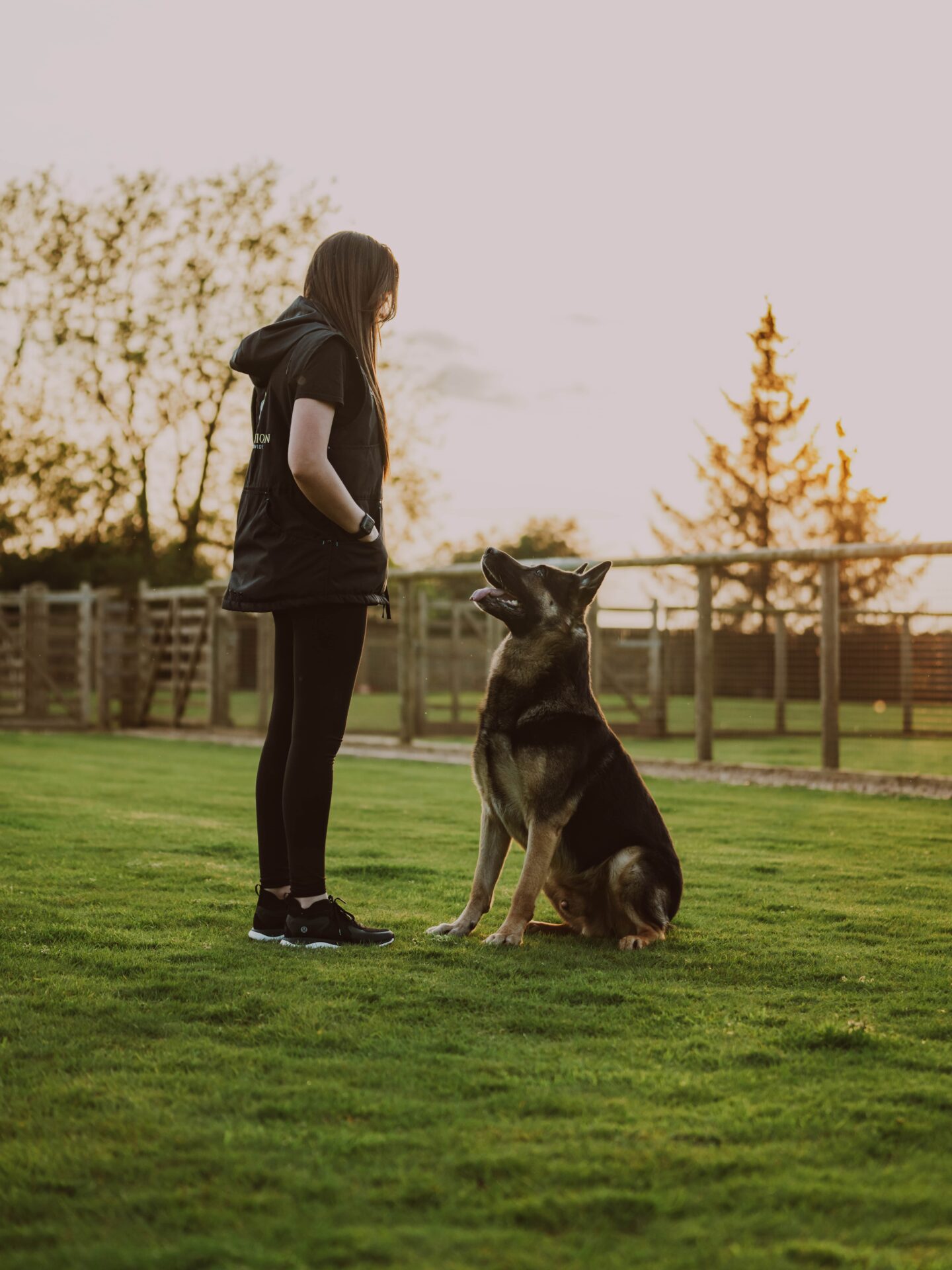 Obedience Training