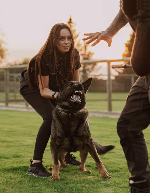 Protection Dogs Worldwide
