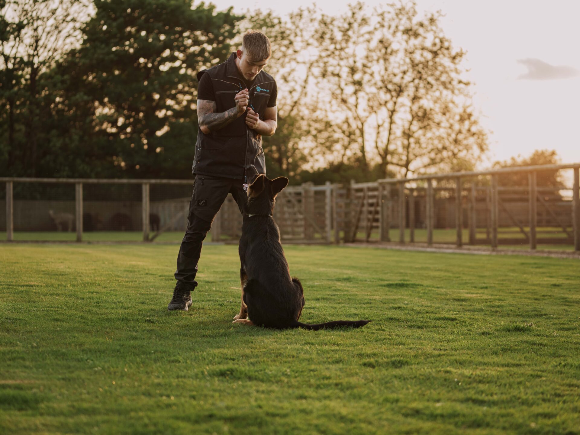 Puppy Training