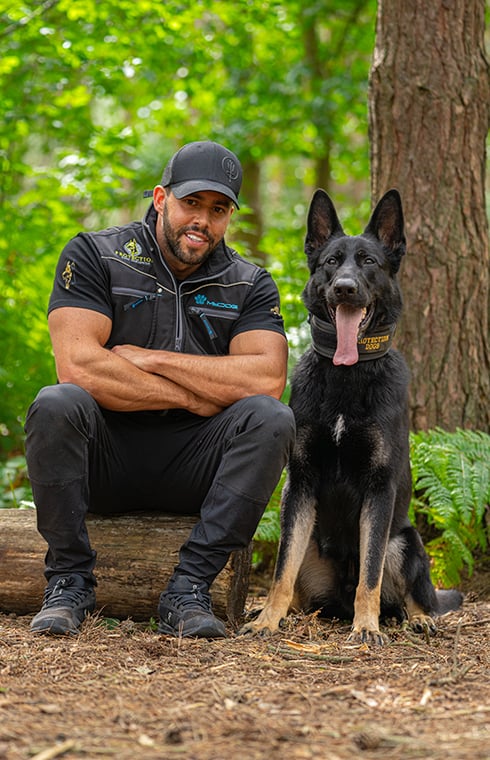 Professional dog training